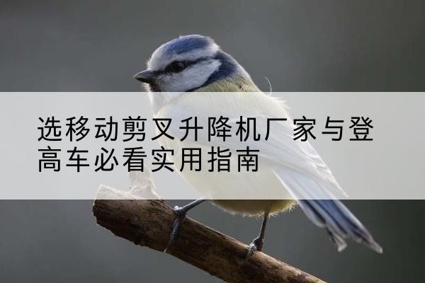 七里河电动升降机厂家-选移动剪叉升降机厂家与登高车必看实用指南