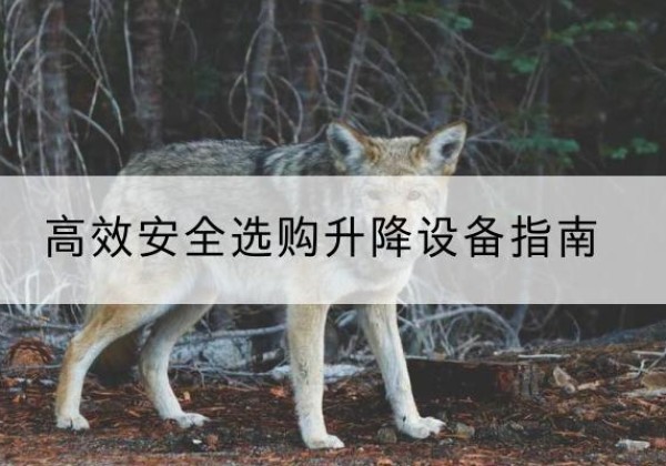 七里河升降货梯厂家推荐-*安全选购升降设备指南