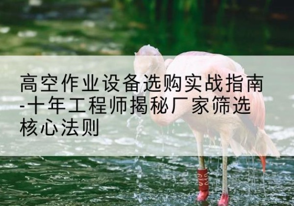七里河剪叉式升降机厂家-高空作业设备选购实战指南-十年工程师揭秘厂家筛选核心法则